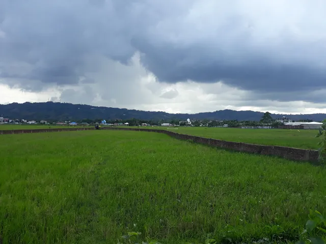 New Zealand Para (নিউজিল্যান্ড পাড়া)