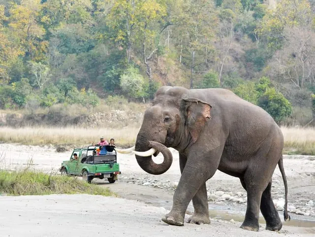 Chilla Safari Zone Rajaji National Park
