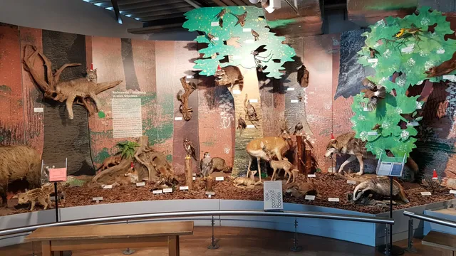 Bodensee-Naturmuseum