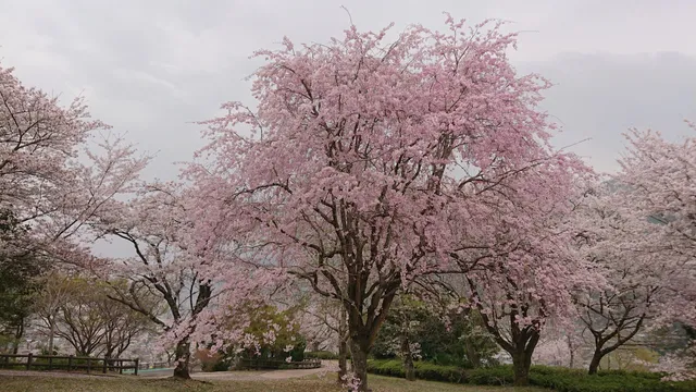 Maruyama Park