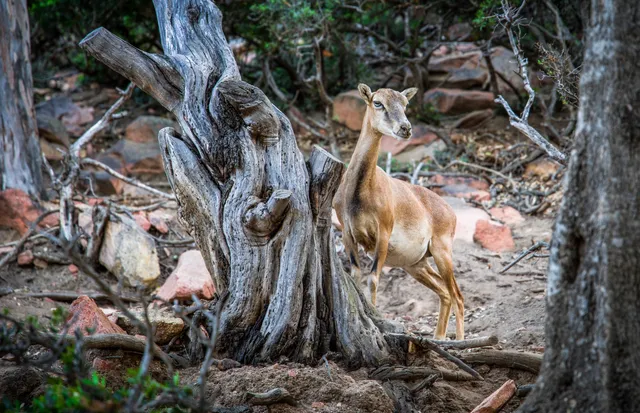 Parco Naturalistico Bellavista