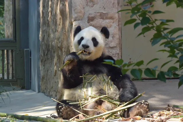 Jinan Zoological Park