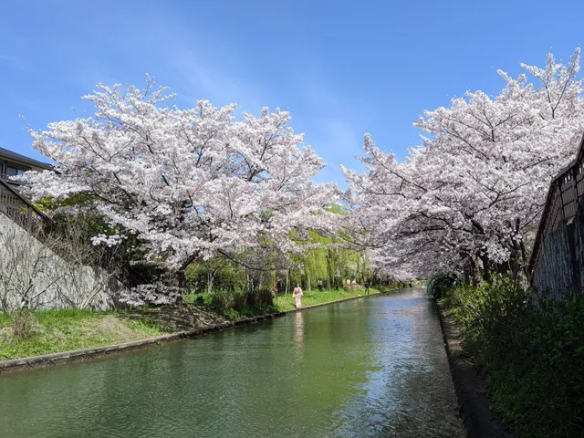 Fushimi Jikkoku-bune Boats