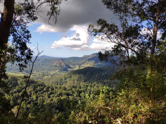 Historic Nightcap Walking Track