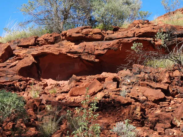 Napwerte / Ewaninga Rock Carvings Conservation Reserve