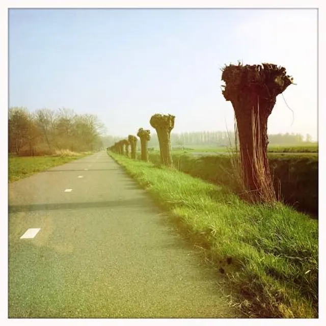 Uitkijktoren Het Weusthag