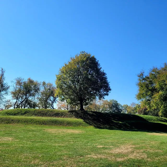 Octagon Earthworks, a UNESCO World Heritage Site