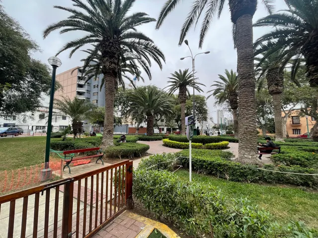 Manuel Solari Swayne Park