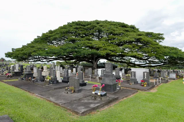 ‘Alae Cemetery