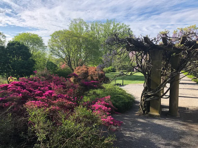 Biltmore Shrub Garden