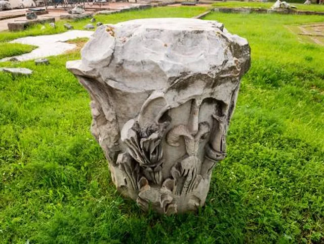 Mark R. Frazer Sunrise Garden