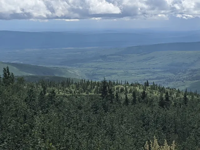 Tanana Valley State Forest