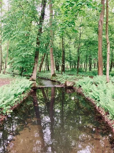 Parc de Schoppenwihr