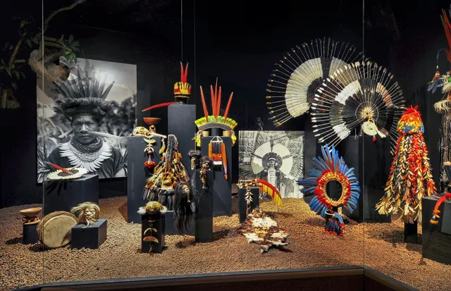 Evolutionsmuseum Schmiding - art man nature museum gemeinnützige GmbH