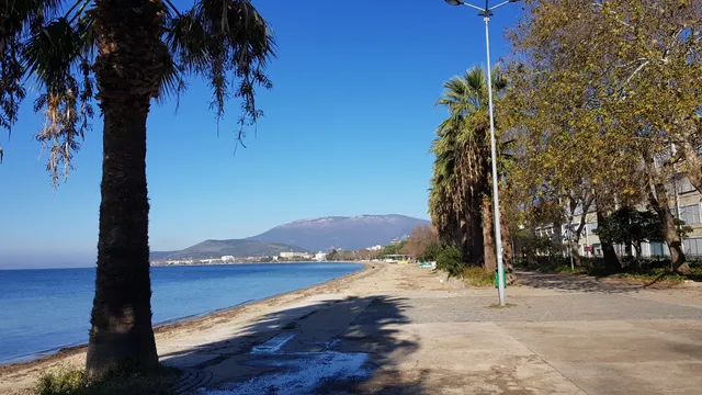 Ali HAYDAR SARI SAHIL BANDI