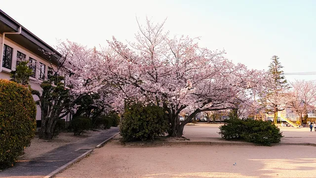 Futsukaichi Park
