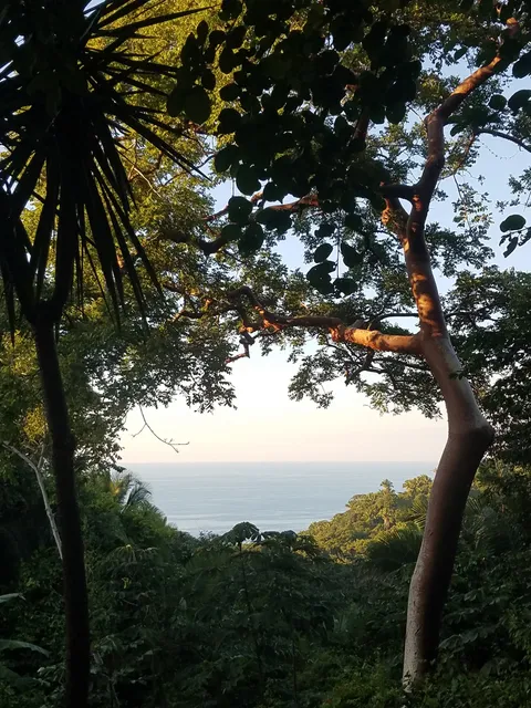 Lo de Perla Jardín de Selva