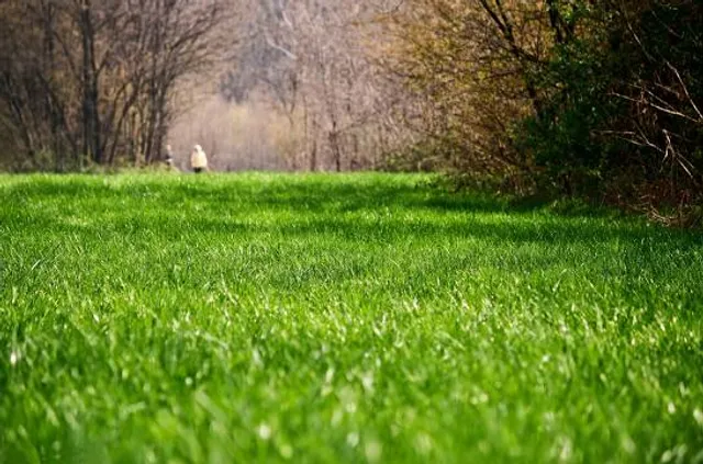 Consorzio Parco Alto Milanese