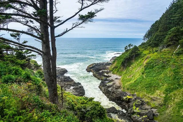 Cape Perpetua Scenic Area
