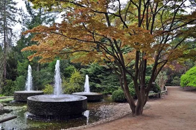 Forstbotanischer Garten und Friedenswald
