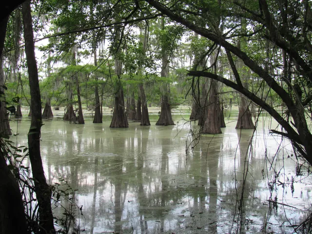 Trinity River National Wildlife Refuge