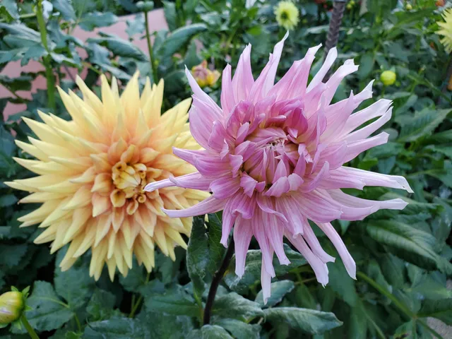 San Leandro History Museum