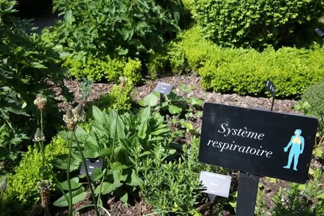 The Garden of Five Senses - Yvoire