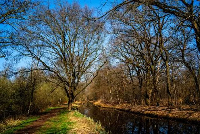 Colonel Danforth Park