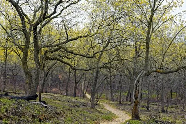 Tolleston Dunes Trail