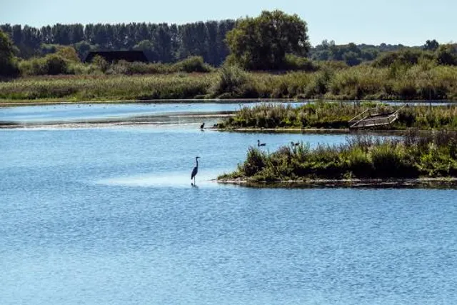 Ripon City Wetlands - YWT
