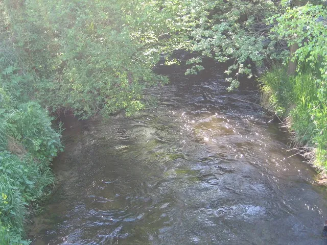 Brzeźnicka Węgorza