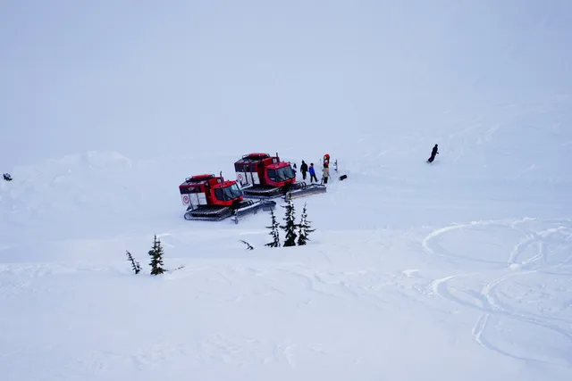 Powder Mountain Catskiing/Heliskiing