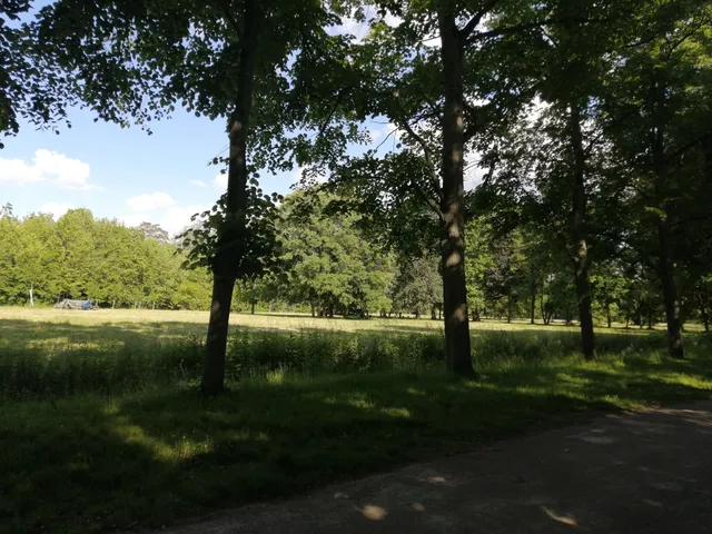 Picnic Area - Plaine Saint Antoine