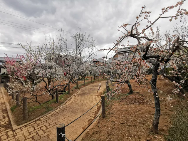 Shinkaigaryobai Park