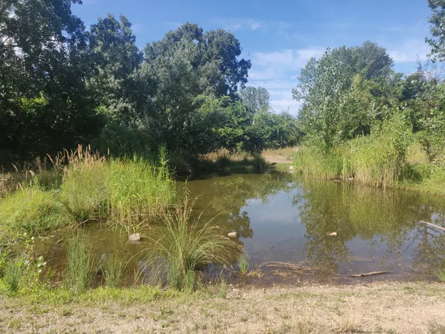 Freie Mitte Nordbahnhof