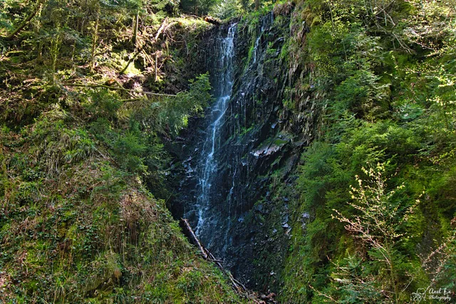 Griesbacher Wasserfälle