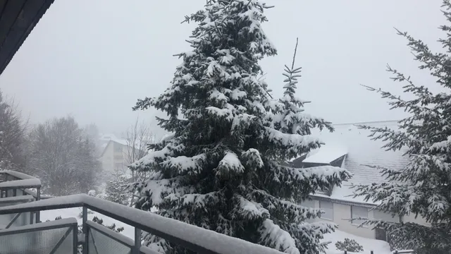 Ferienwohnung Schwarzwaldblick