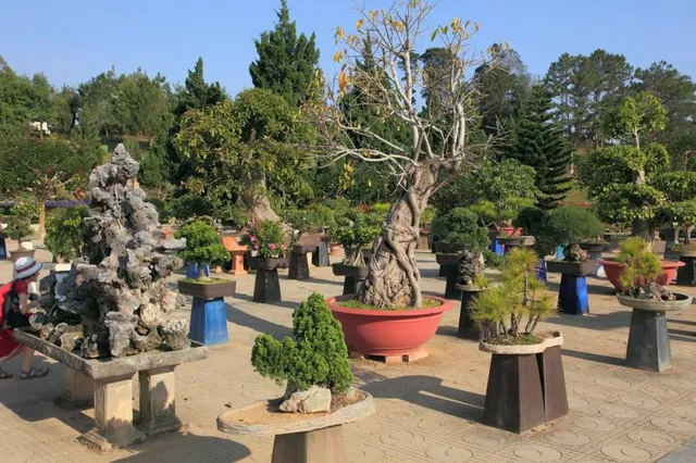 Vườn hoa thành phố Đà Lạt