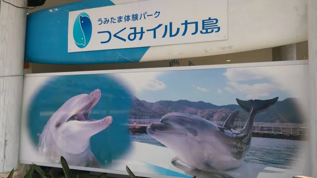 つくみイルカ島