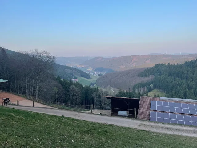 Matthias Neumaier Schmalzenhof