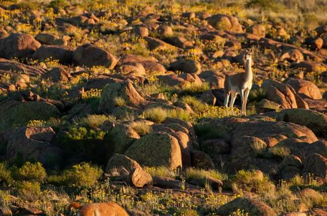 Parque Nacional Lihué Calel