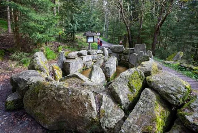 Erlebnisweg Moorwald (Waldlehrpfad)