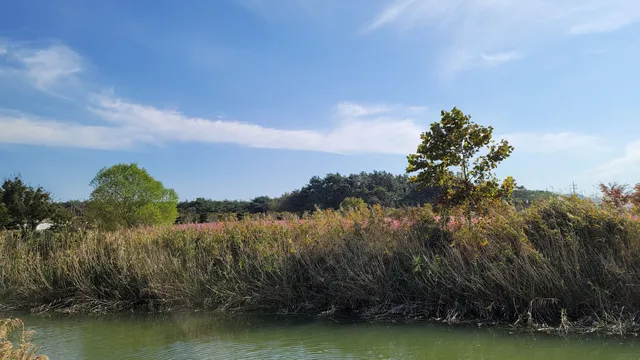 부안 줄포만 노을빛 정원