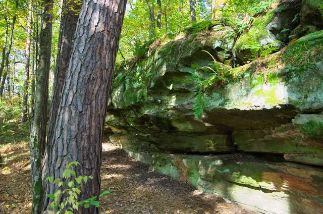 Rezerwat przyrody Skały pod Adamowem