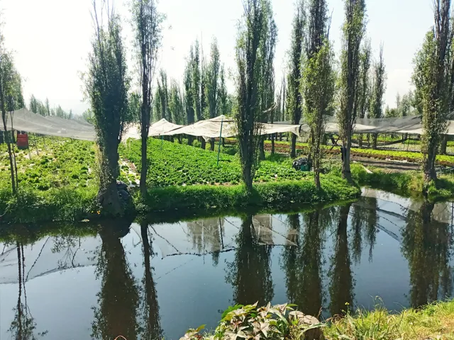 Ejidos De Xochimilco Y San Gregorio Atlapulco