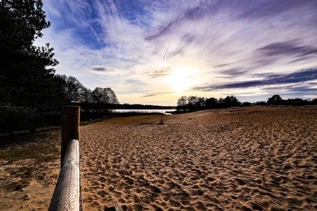 The Frensham Beach
