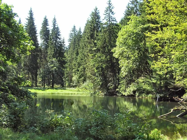 Knöpfelstaler Teich