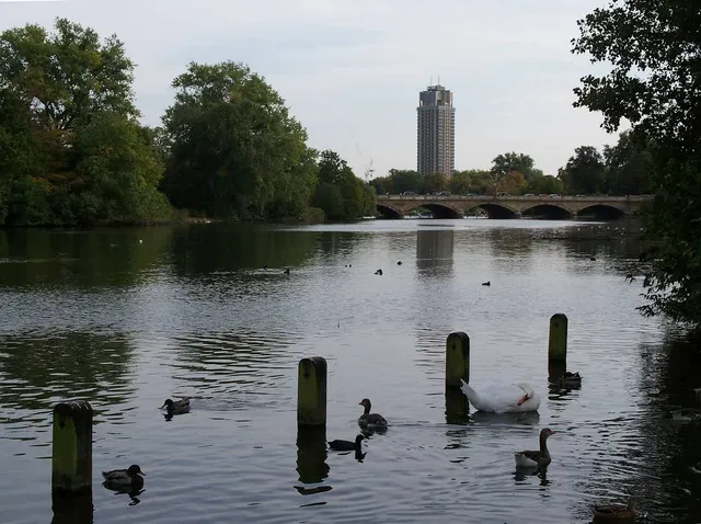 The Serpentine