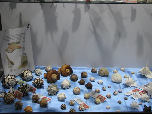 Isfahan Seashell Museum
