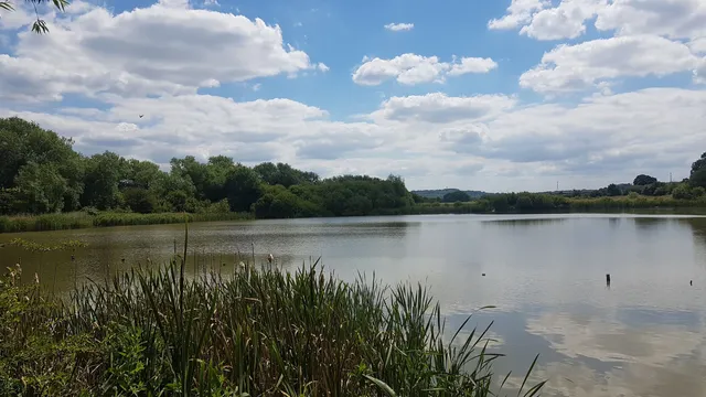 Carr Vale Nature Reserve